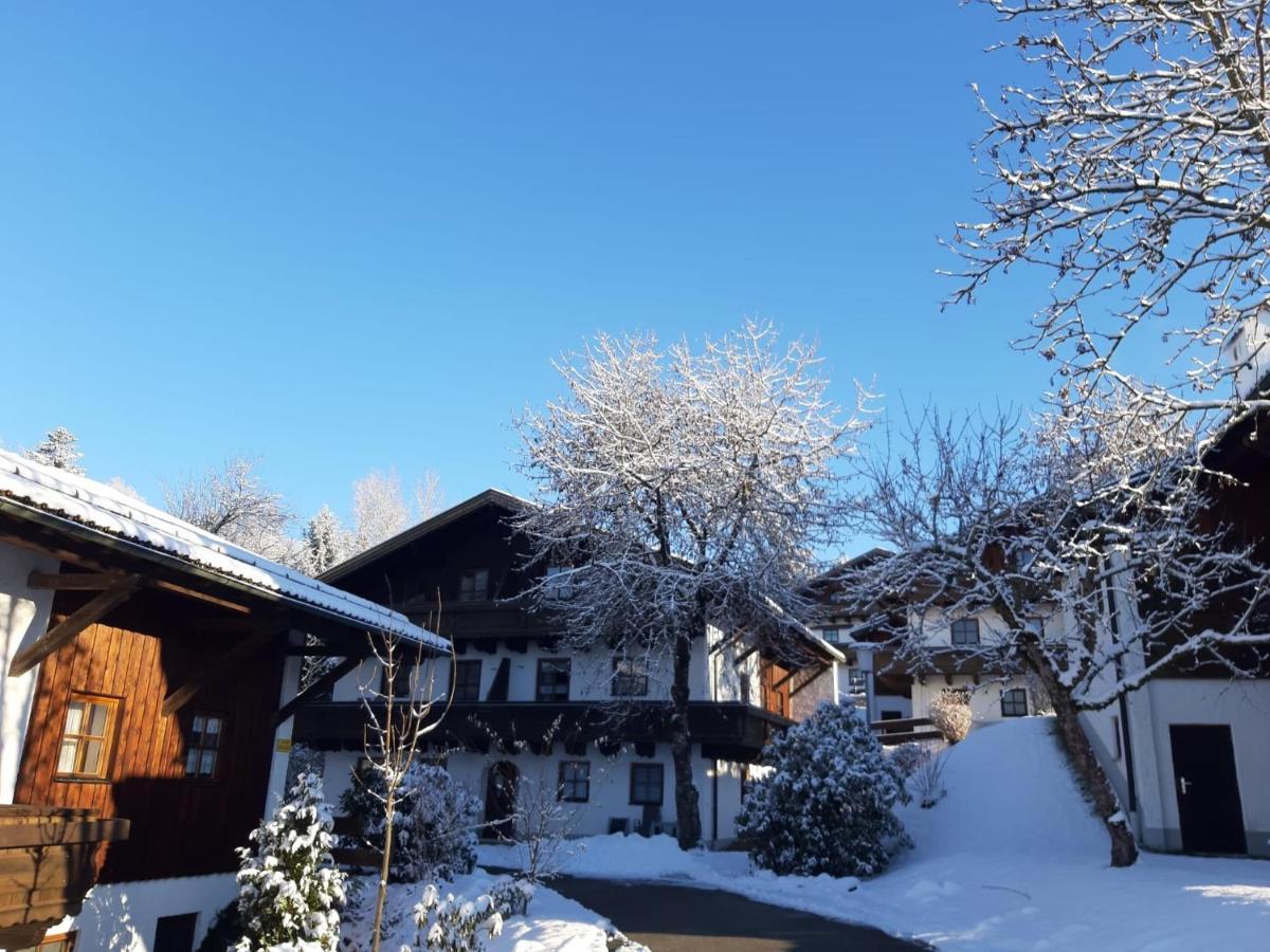 Ferienwohnung Freudensee Im Bayerischen Wald - Pool, Sauna Hauzenberg Dış mekan fotoğraf